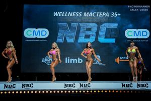 WELLNESS МАСТЕРА +35